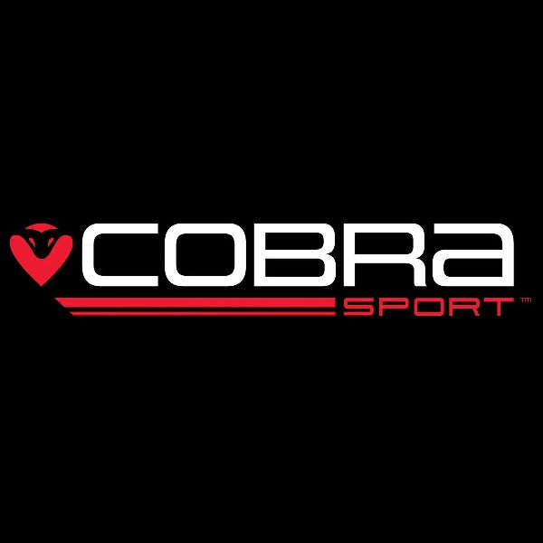 Cobra - A&E Motorsport - V2